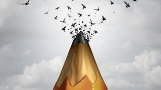 pencil with crows