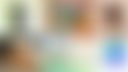 what we're carrying forward in 2026