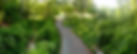 ProspectPark_Brooklyn_Nethermead.jpeg
