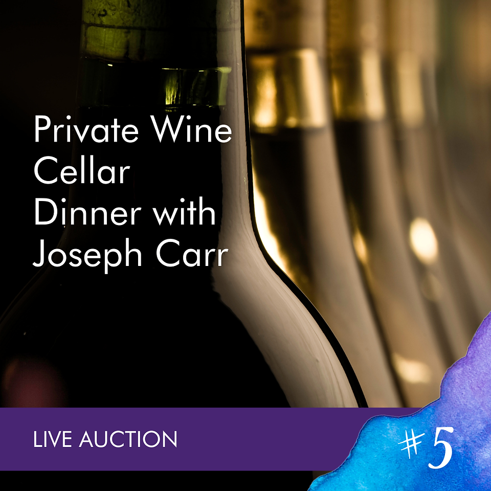 soiree auction