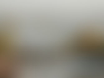 City vs Countryside: Where Should You Live in France?