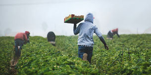 How Farming Shaped the French Lifestyle We See Today