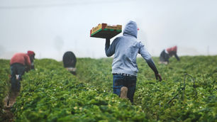How Farming Shaped the French Lifestyle We See Today