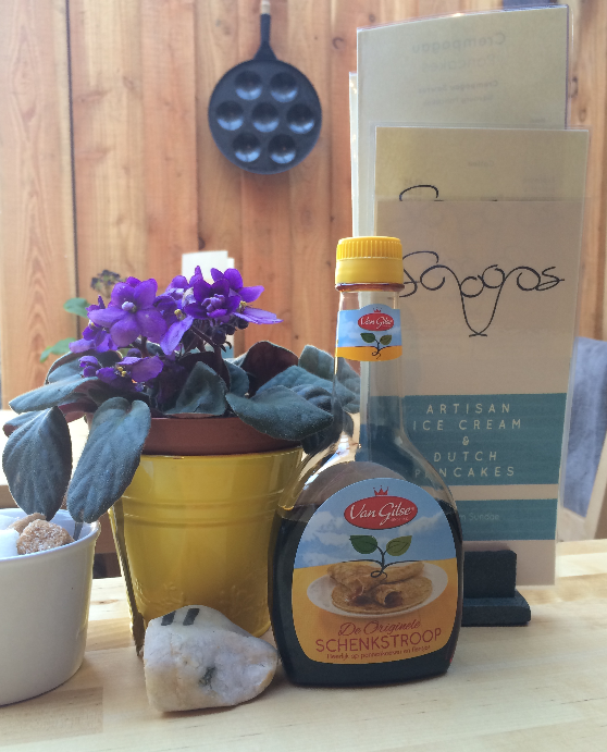 GALLERY scoopscaernarfon