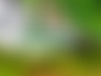 Prefeitura de Valença avança na limpeza de canais e reforça ações de prevenção contra alagamentos.