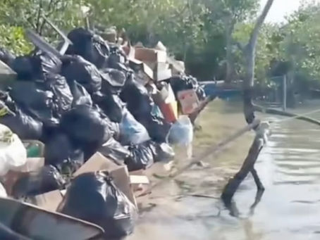 Denúncia aponta despejo de lixo em área de manguezal na Ilha do Contrato.