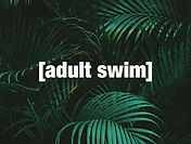 adult-swim.jpeg