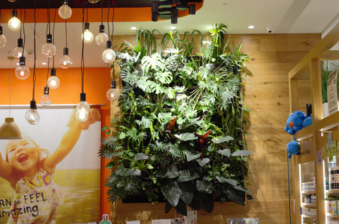 Feeling good at Hardy's