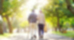 Elders walking through the park on a sunny afternoon.