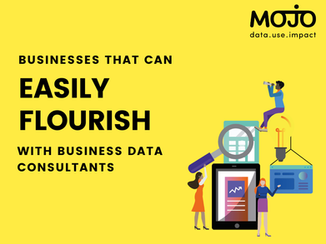3 Businesses That Can Easily Flourish With Business Data Consultants