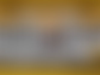 Pioneers and Settlers