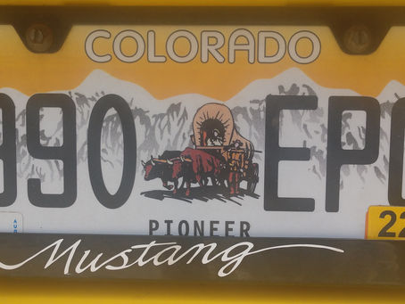 Pioneers and Settlers