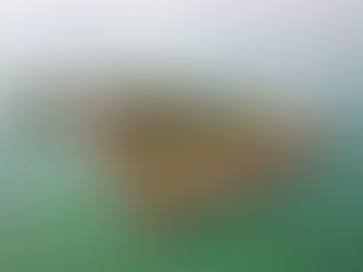 Medieval Quarantine Islands Now Proud Symbols of Venice's Heritage and Ecology