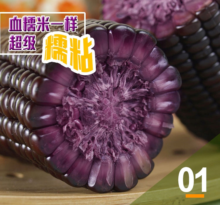 縮圖：有机真空黑糯玉米真空包装15棒_3公斤 Organic Black Glutinous Corn 15 corns_3kg