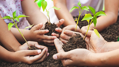 four-hands-holding-saplings-in-soil.jpg