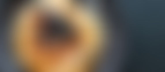 Havermout pannenkoekjes met bessen en honing