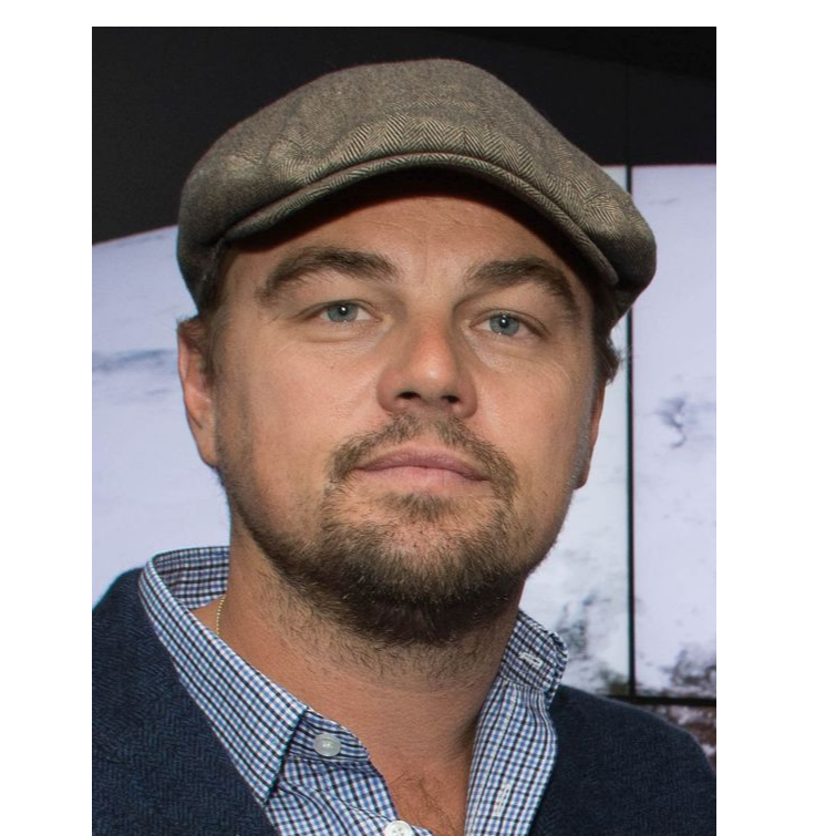 The Leonardo