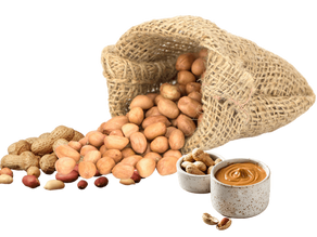 How to Export Peanuts from India: A Comprehensive Guide