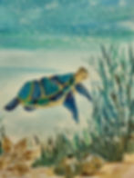Undersea Adventures: Beginner Watercolor Class