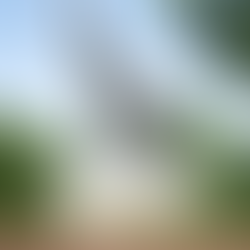 University of Alabama located in Tuscaloosa Alabama