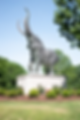University of Alabama located in Tuscaloosa Alabama