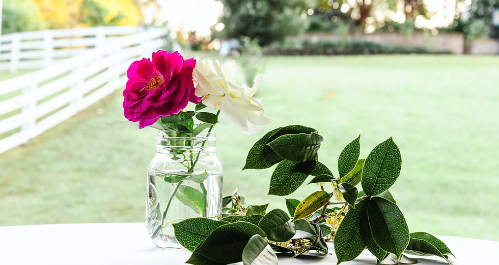 Elegant Outdoor Spring wedding reception in Tuscaloosa Alabama