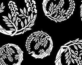 Your paragraph text_edited.jpg