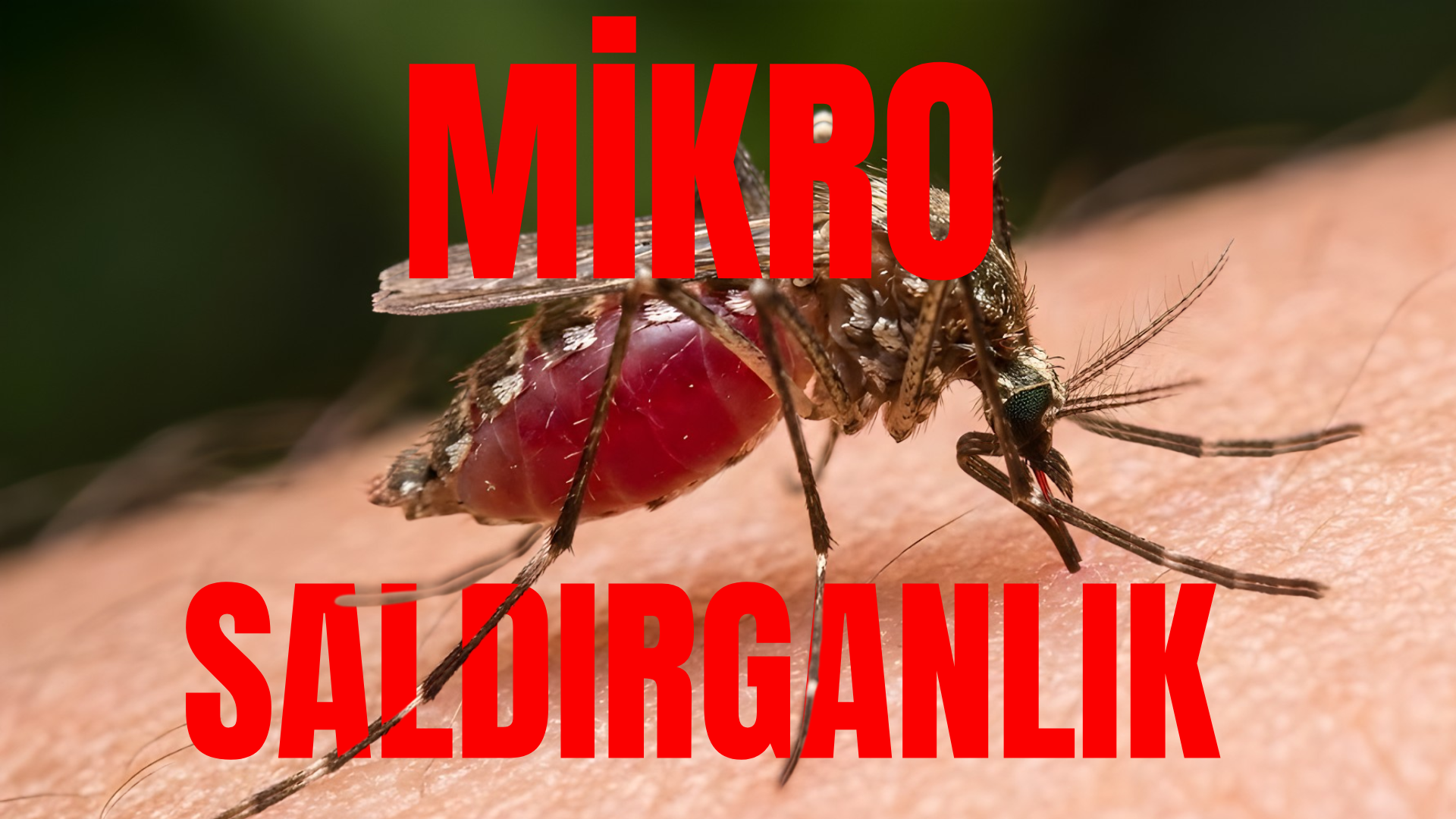 Mikro Saldırganlık Nedir ve Neden Önemlidir?