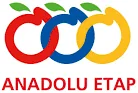 Anadolu Etap