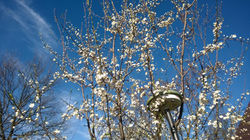 91690871_219947889253033_1953678729146269696_n