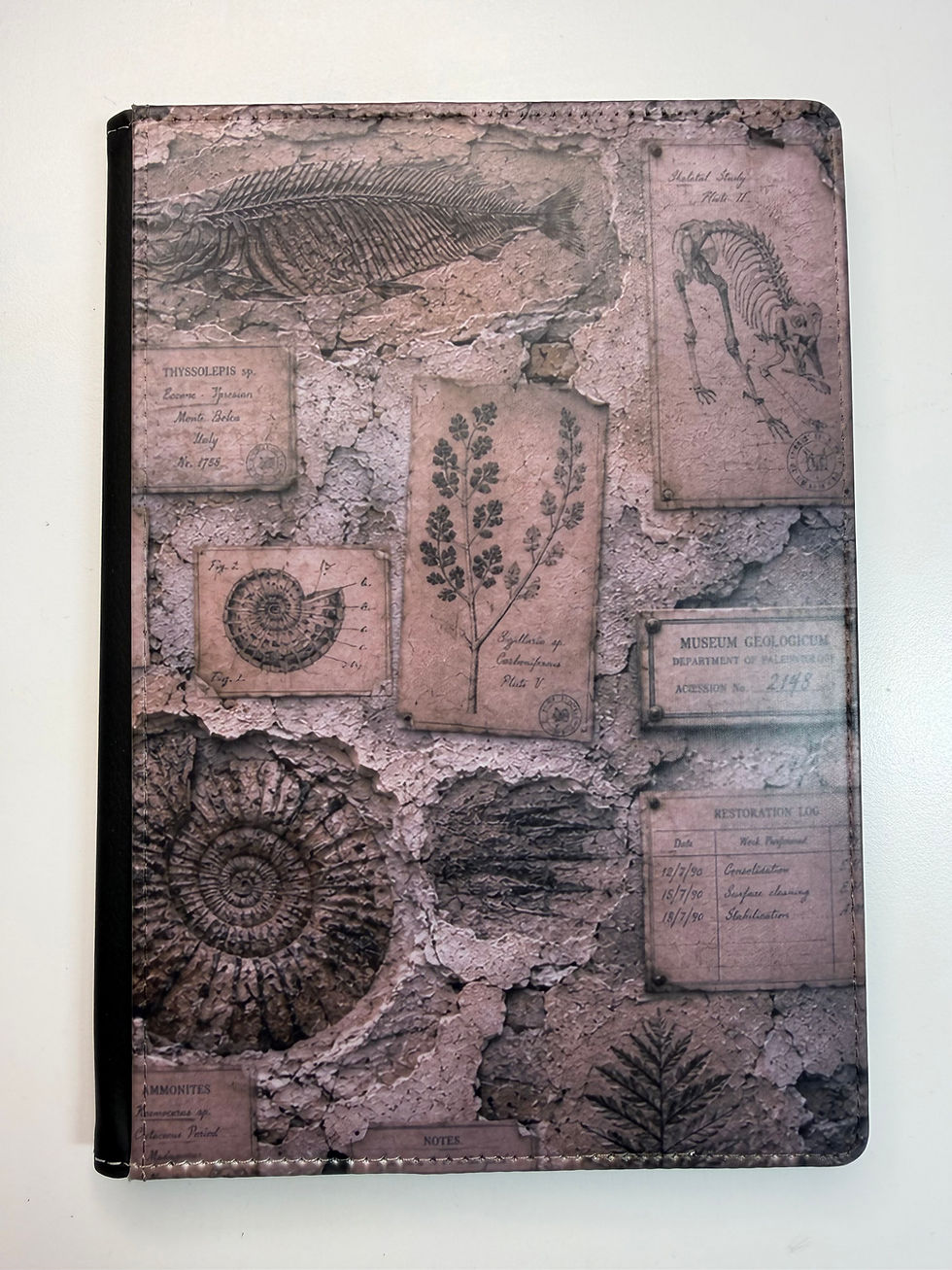 Thumbnail: Fossil Specimen