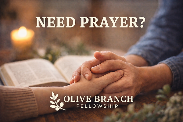 ChatGPT Image Feb 27, 2026, 02_19_16 PM.png