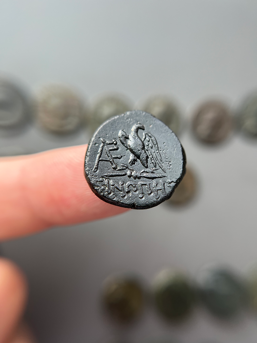 Thumbnail: Paphlagonia, Sinope | Æ Bronze Coin under Mithradates VI Eupator (circa 95–70 BC