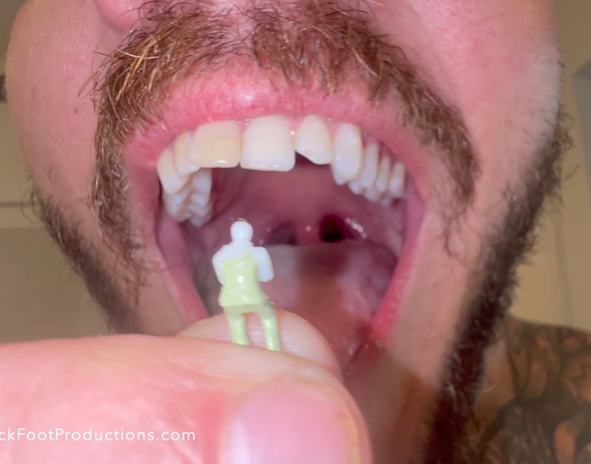 Liam Needsom Swallows Tiny Loser + QA