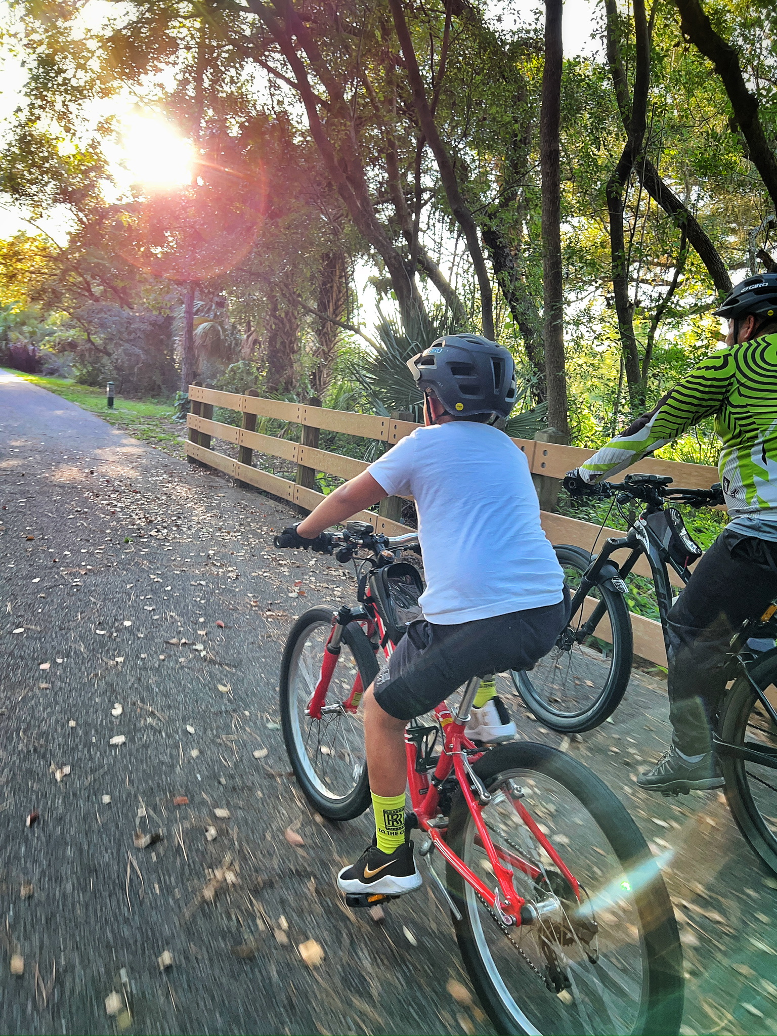 Cyclists riding a wooded trail in warm sunlight