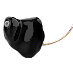 Microcanal (CIC).png