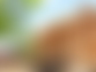 What Are You Building? – A Call to Purpose from Mista Yu