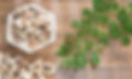 Moringa-2.jpg