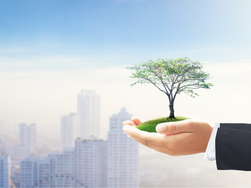 POURQUOI se transformer, ou COMMENT se transformer ? 