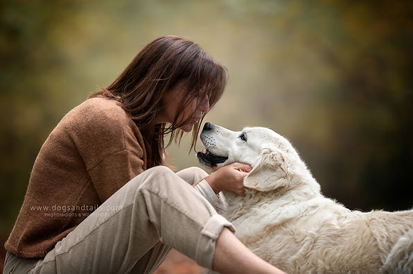 Labrador by dogsandtails.com