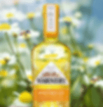 Warners Gin