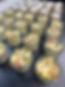 IMG_0739.jpeg