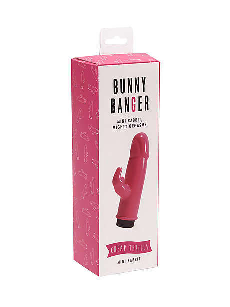 Thumbnail: Mini Rabbit