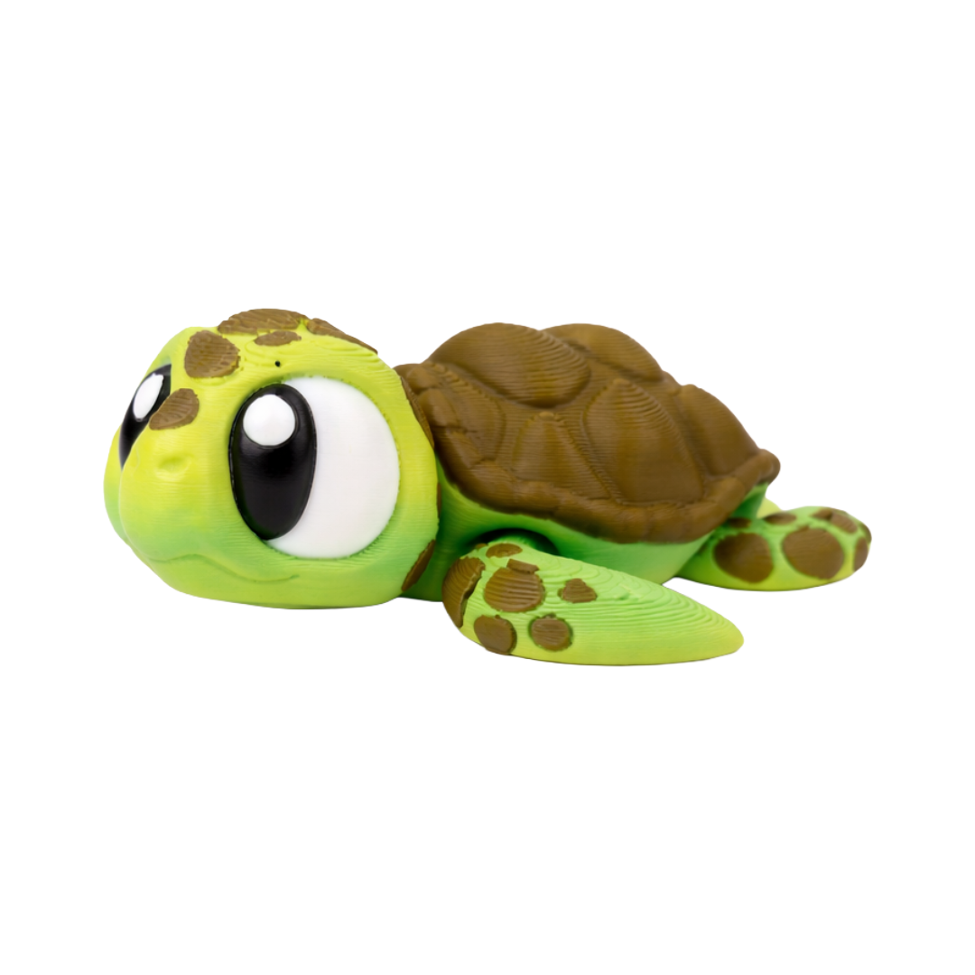 Shelly (Sea Turtle)