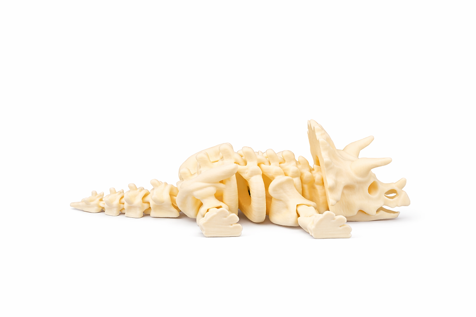 Thumbnail: Flexi Skeleton Triceratops