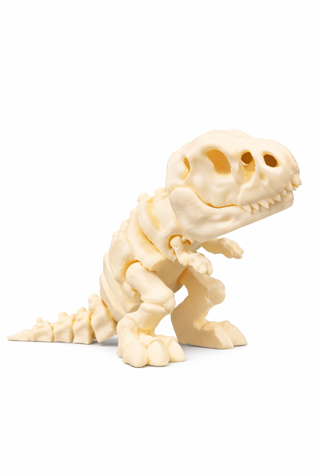 Flexi Skeleton T-Rex