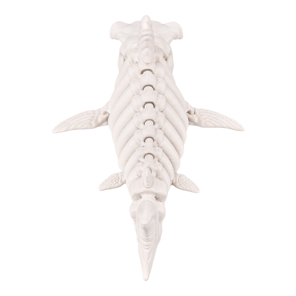 Thumbnail: Skeleton Shark