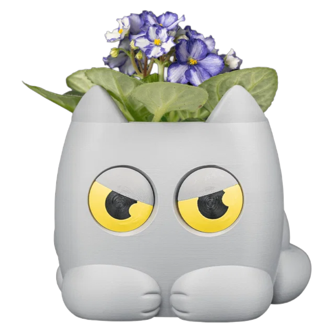 Grumpy Kitty - Planter