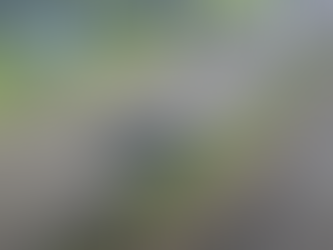 Video-Tesla 3 autónomo se estrella tontamente.