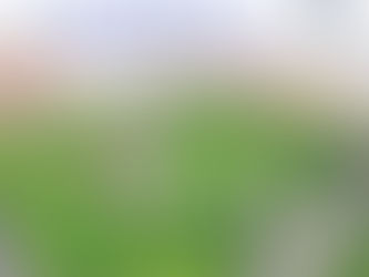 Congreso de Marketing & Comercio 2020 León Gto. -Investigación Temática